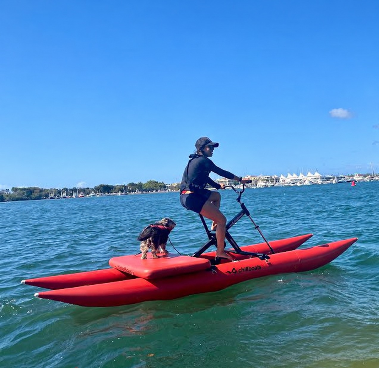 A dog riding on a padded platform on a red waterbike on the Gold Coast